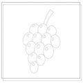 Handwriting practice for children, grapes. sketch. Vector illustration isolated on a white background