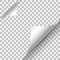 Page curl with shadow on blank sheet of paper. White paper sticker. Element for advertising and promotional message Royalty Free Stock Photo