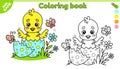 Page of kids Easter coloring book with cute chick