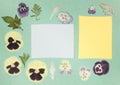 Page from an old photo album. Flowers violet, pansies Scrapbooking element decorated with leaves, flowers and petals flowers. For
