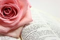 Page of an Open Bible Page Royalty Free Stock Photo