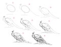 Page shows how to learn to draw from life sketch a peacock. Pencil drawing lessons. Educational page for artists. Textbook for