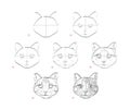 Page shows how to learn to draw sketch of cats head. Creation step by step pencil drawing. Educational page for artists. Textbook
