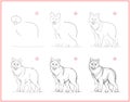 Page shows how to learn to draw sketch of cute grey wolf. Creation step by step pencil drawing. Educational page for artists.