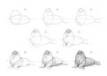 Page shows how to learn to draw sketch a walrus. Pencil drawing lessons. Educational page for artists. Textbook for developing