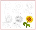 Page shows how to learn to draw step by step beautiful sunflower. Developing children skills for drawing and coloring. Printable