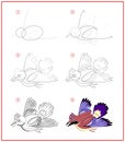 Page shows how to learn to draw step by step cute flying bird jay. Developing children skills for drawing and coloring.