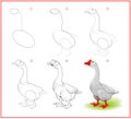 Page shows how to learn to draw step by step cute goose from farm. Developing children skills for drawing and coloring. Printable