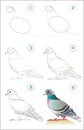 Page shows how to learn step by step to draw a cute pigeon. Developing children skills for drawing and coloring.