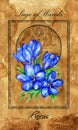 Page of Wands. Minor Arcana tarot card with Crocus and magic seal
