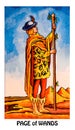 Page of Wands Tarot Card Original, Innovative and Inventive Royalty Free Stock Photo