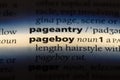 pageboy Royalty Free Stock Photo