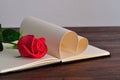 Pages of a book bend in a heart shape displayed with a red rose Royalty Free Stock Photo