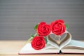 Pages of book curved heart shape and red rose Royalty Free Stock Photo