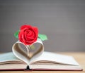 Pages of book curved heart shape and red rose Royalty Free Stock Photo