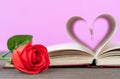 Pages of book curved heart shape with red rose Royalty Free Stock Photo