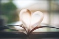 Pages forming heart shape Royalty Free Stock Photo