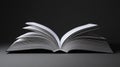 pages open book blank Royalty Free Stock Photo