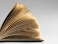 Pages of an open book Royalty Free Stock Photo