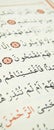 Pages verses from the holy book of islam religion quran, kuran and chapters