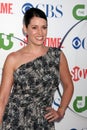 Paget Brewster Royalty Free Stock Photo
