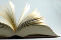 Pageturner Royalty Free Stock Photo
