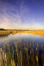 Pagham Harbour, West Sussex Royalty Free Stock Photo