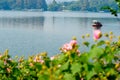 Pagoda and boat on West lake Royalty Free Stock Photo