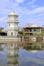 Pagoda in chinese classical garden