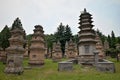 The Pagoda Forest at Shaolin monastery in Henan province in China.