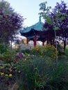 Pagoda at the Japanese Tea Garden Royalty Free Stock Photo