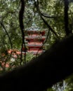 Pagoda in Japanese Tea Garden, Golden Gate Park, San Francisco, California, USA