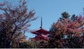 Pagoda in Kyoto. JAPAN