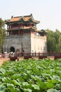 Pagoda and lotus flowers in summer palace