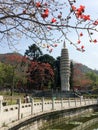 Pagoda at Nanputuo Temple in Xiamen city, China