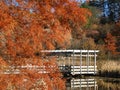 Cornell Botanical Garden pagoda visible through orange leaves Royalty Free Stock Photo