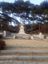 The Pagoda in the temples of South Korea is the King.