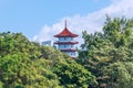 Chinese pagoda tower on the shore of a pond in Singapore Royalty Free Stock Photo