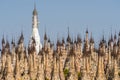 Pagodas at Kakku Royalty Free Stock Photo