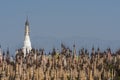 Pagodas at Kakku Royalty Free Stock Photo