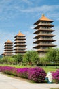 Pagodas with purple flowers