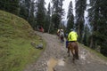 Horse pony riding special activities for tourism are walking on the moutain of Laripora village Pahalgam, Jammu and Kashmir state