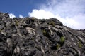 Pahoehoe lava and ferns Royalty Free Stock Photo