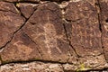 Pahranagat Man Petroglyph