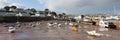 Paignton harbour Devon England uk panorama