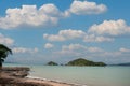 Paihia waterfront landscape