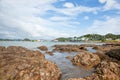 Paihia waterfront landscape