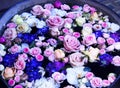 Pail of Flowers Floating in Water