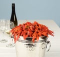 Pail full of river lobster with wine and glasses Royalty Free Stock Photo