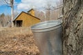 Pail used to collect sap of maple trees Royalty Free Stock Photo